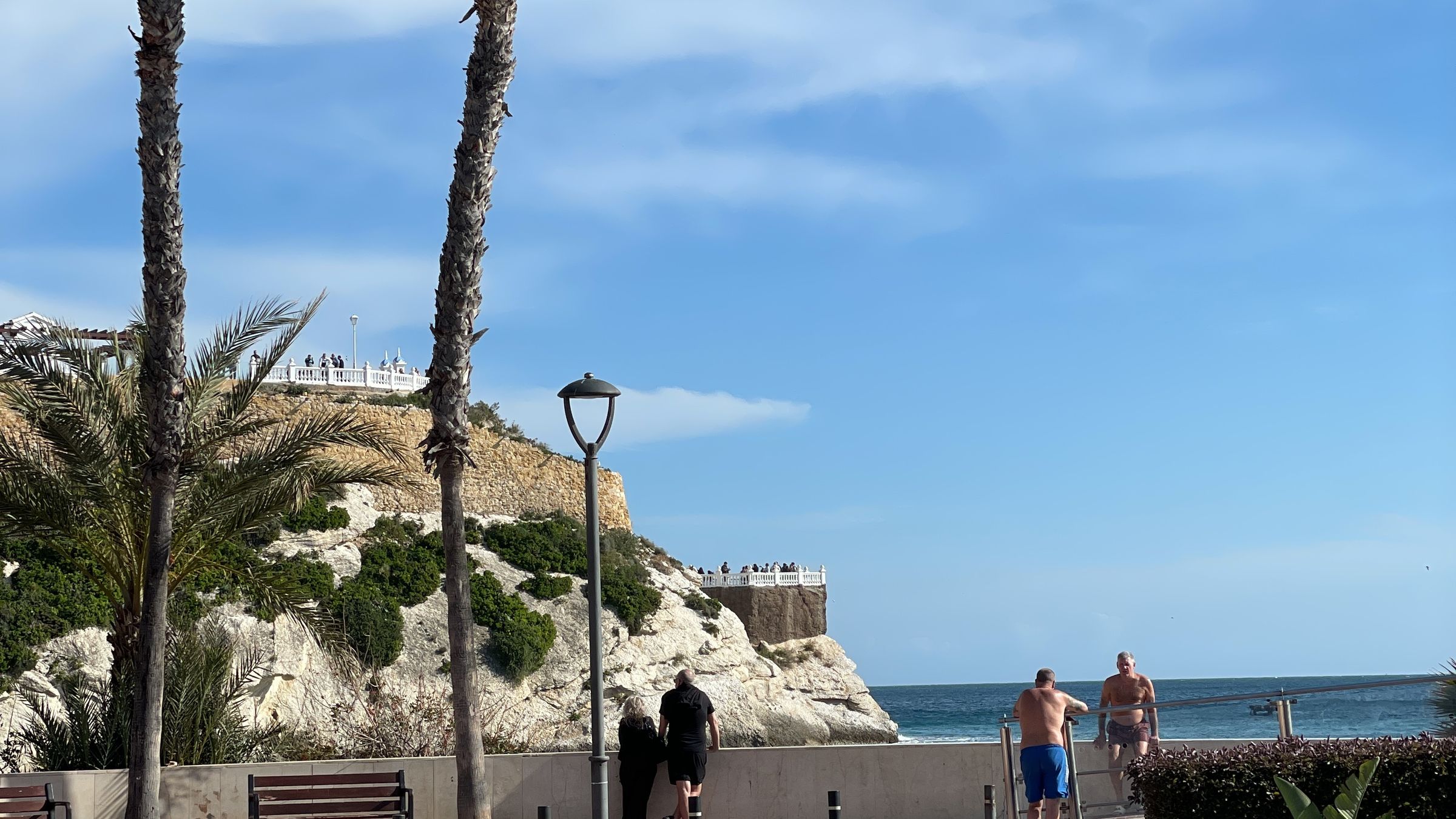Wide seaside promenade with tall palm trees in planting beds and empty wooden benches facing the sea