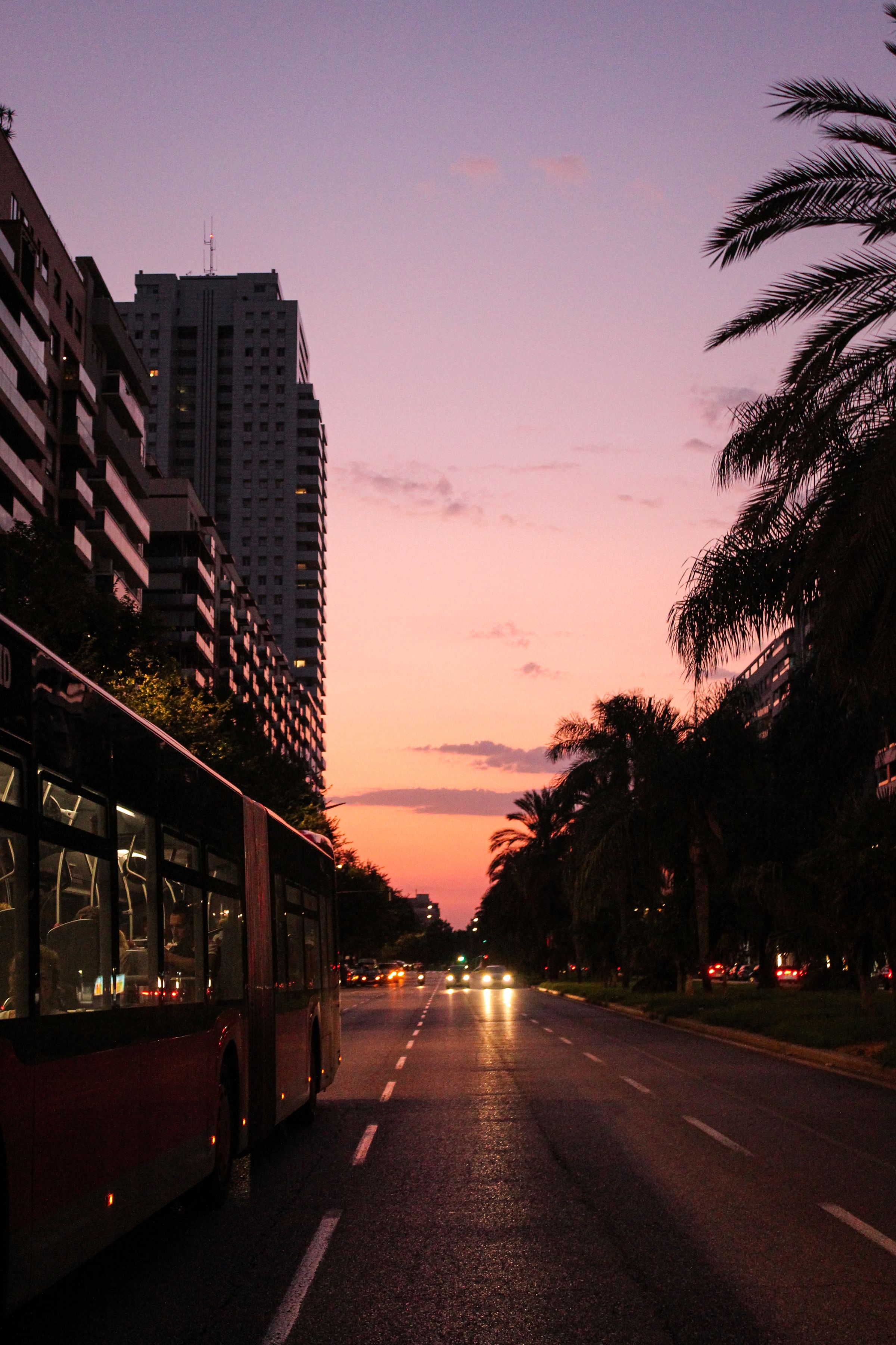 Local service bus on a palm-lined avenue in a Spanish coastal town at dusk